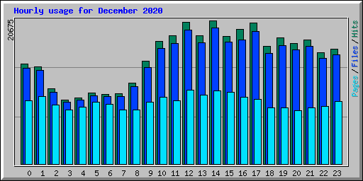 Hourly usage for December 2020